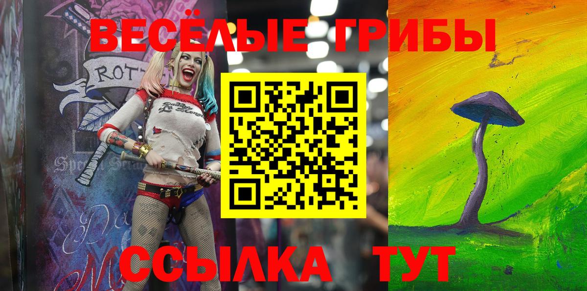 Псилоцибиновые грибы Psilocybine cubensis Топки