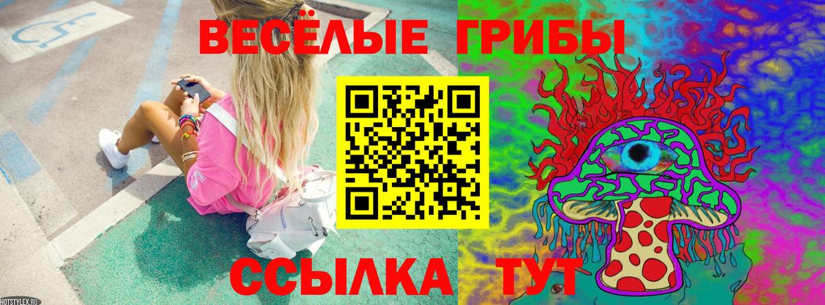 как найти наркотики  Галлюциногенные грибы Magic Shrooms  Вход с VPN  Галлюциногенные грибы ЛСД  Топки 
